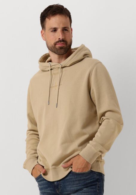 Khaki CALVIN KLEIN Sweatshirt WASHED MONOLOGO HOODIE - large