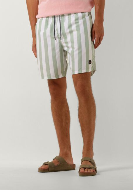 Grüne SHIWI Badehosen MEN SWIMSHORT BROAD STRIPE - large