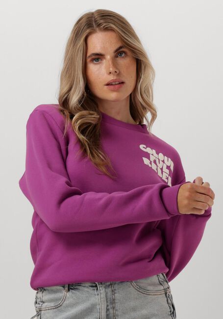 Rosane COLOURFUL REBEL Sweatshirt BOLD PUFF LOGO RELAXED SWEAT - large