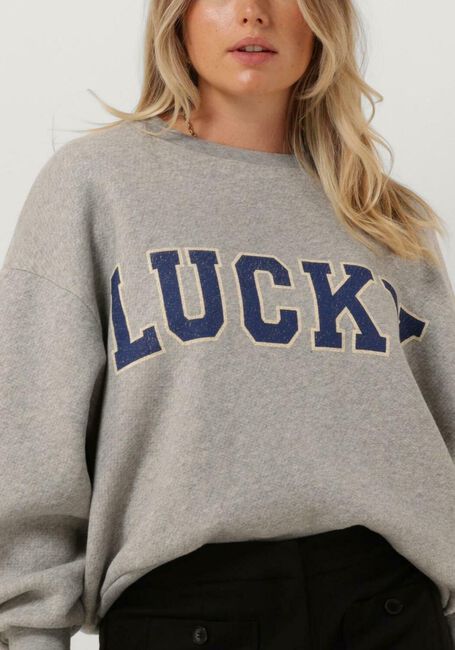 Graue BY-BAR Sweatshirt BIBI LUCKY VINTAGE SWEATER - large