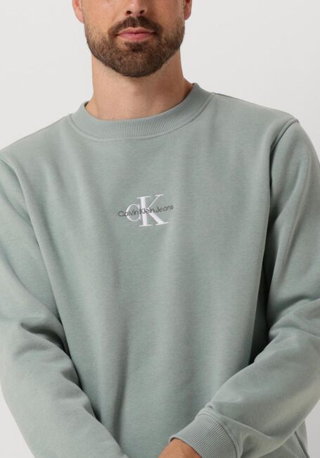 Graue CALVIN KLEIN Pullover MONOLOGO CREW NECK - large