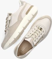 Beige HASSIA Sneaker low 301314 - medium