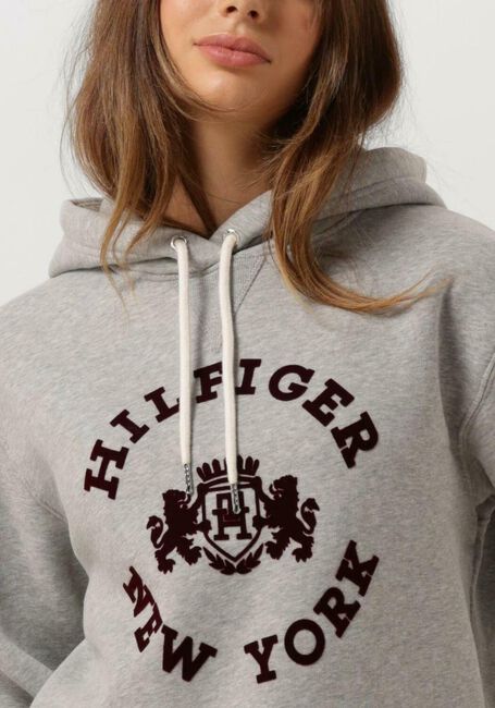 Hellgrau TOMMY HILFIGER Sweatshirt REG VARSITY FLOCK HOODIE - large