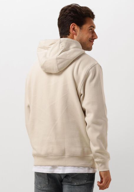 Beige TOMMY JEANS Hoodies TJM REG S FLAG HOODIE - large