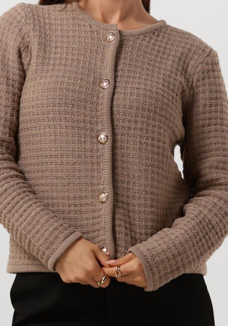 Taupe NEO NOIR Strickjacke LIMONE KNIT JACKET - large