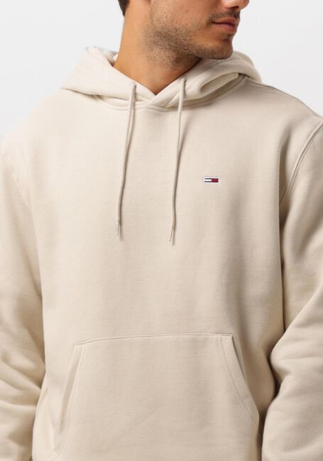 Beige TOMMY JEANS Hoodies TJM REG S FLAG HOODIE - large