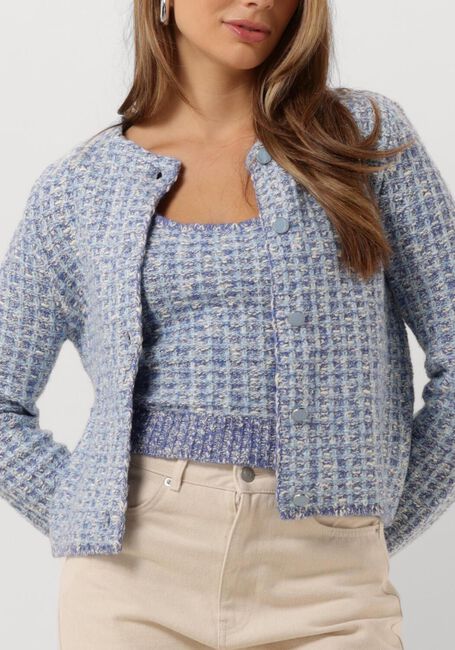 Blaue FABIENNE CHAPOT Strickjacke JOSH CARDIGAN - large