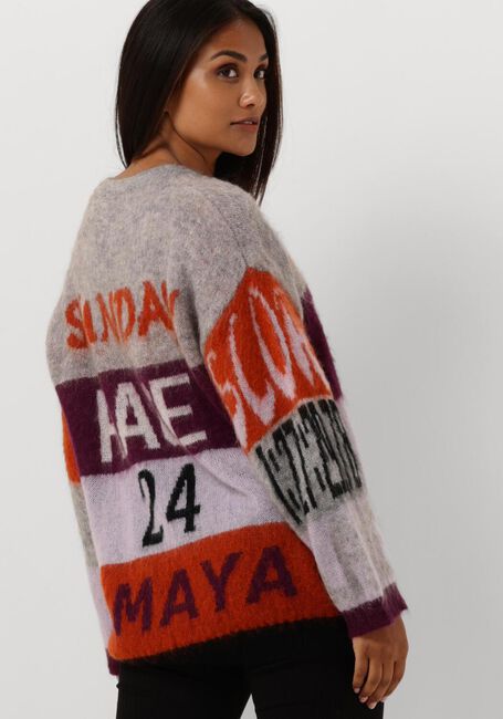 Graue AMAYA AMSTERDAM Pullover AMAYA RACE SWEATER - large