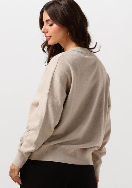 Taupe INWEAR Pullover FOSTERIW V-NECK - large