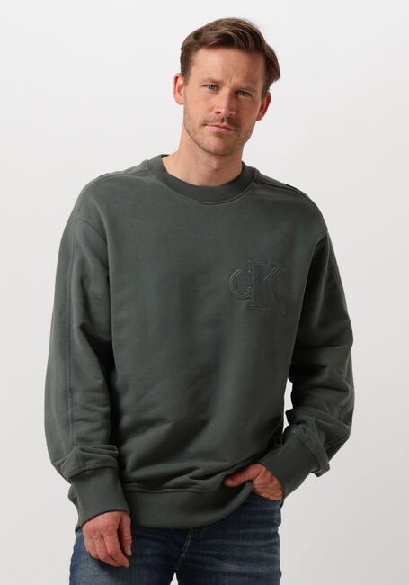 Graue CALVIN KLEIN Sweatshirt CK APPLIQUE CREW NECK - large