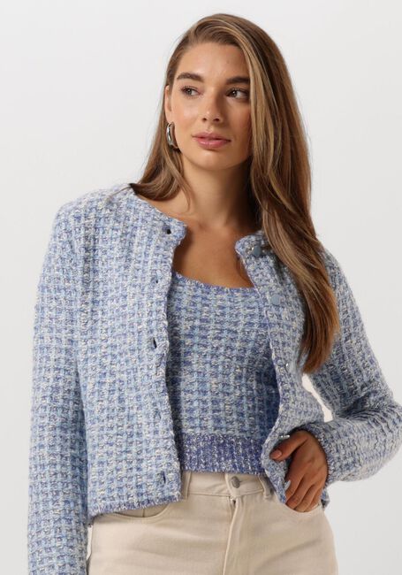 Blaue FABIENNE CHAPOT Strickjacke JOSH CARDIGAN - large