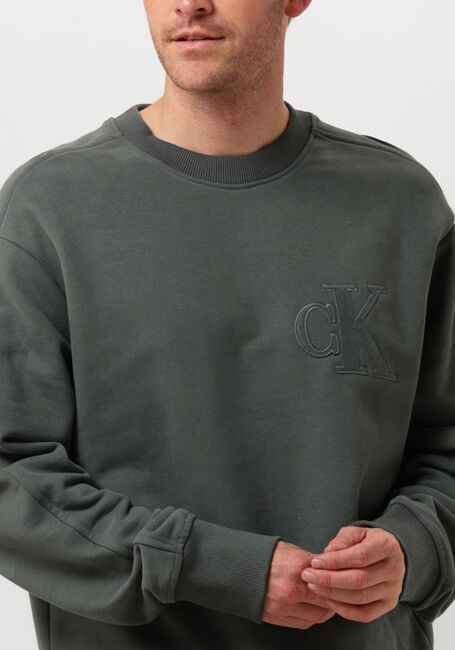 Graue CALVIN KLEIN Sweatshirt CK APPLIQUE CREW NECK - large